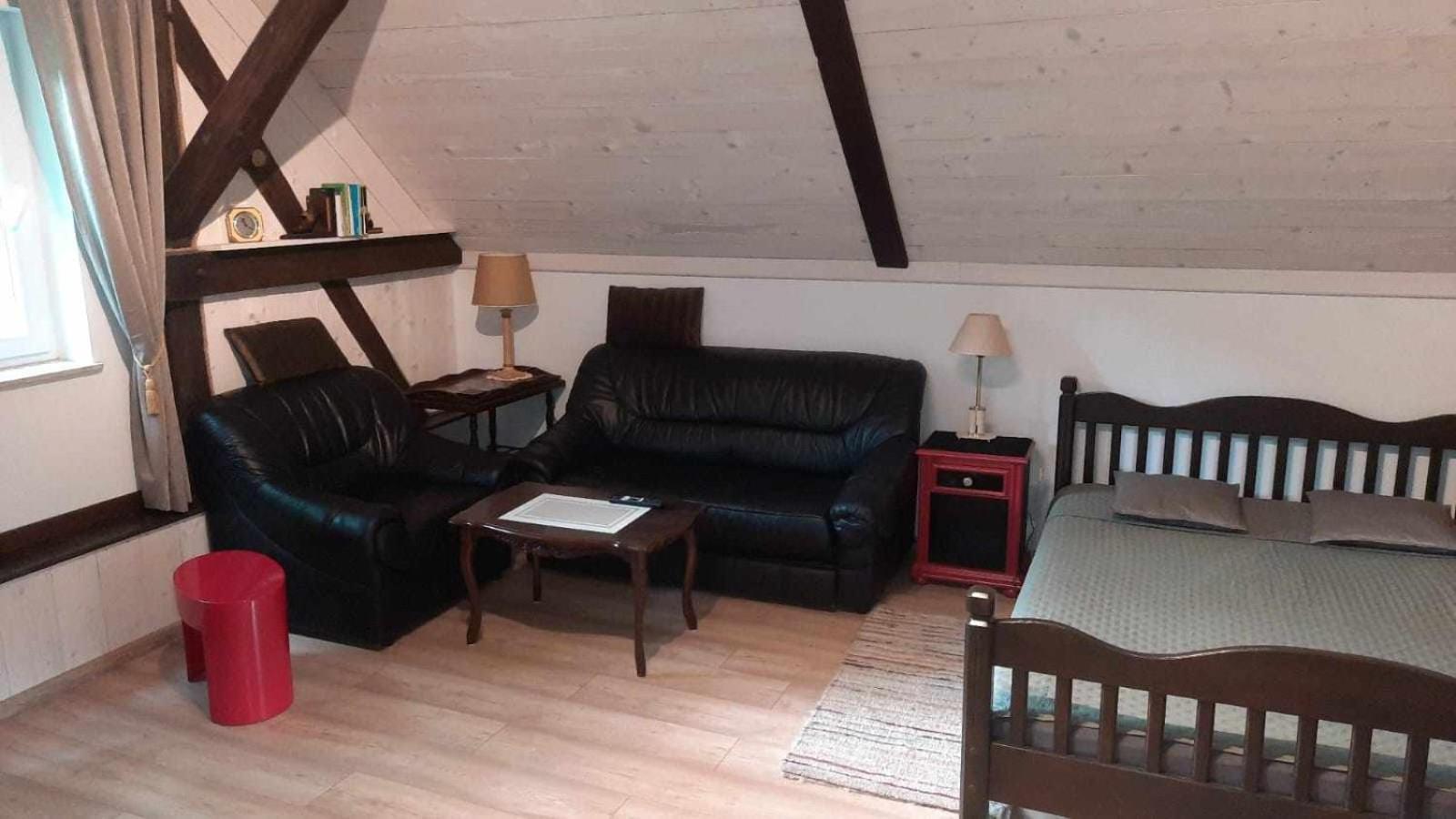 Apartament Jelen W Smokingu Sulow  Экстерьер фото
